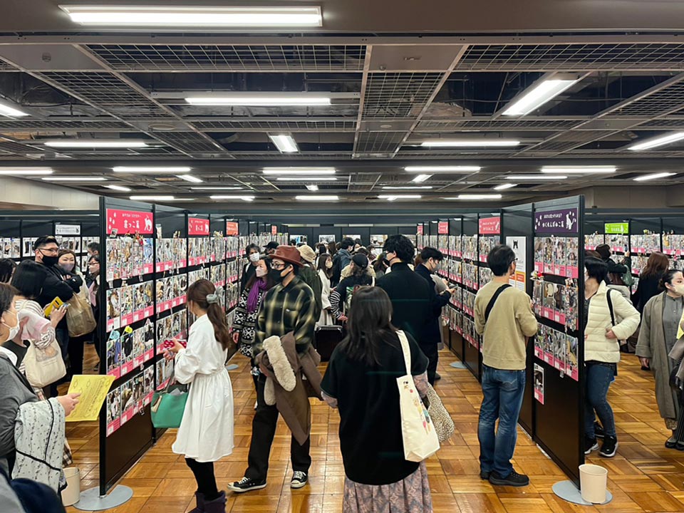 ねこ写真パネル展示イベントの様子